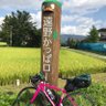まるもあ profil fotoğrafı