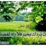 لينة تسنيم's profile picture