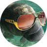 Manatee Sam 的头像