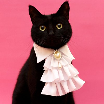 木野聡子 | Akiko Kino's profile picture