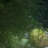 Xergon Entertainment's profile picture