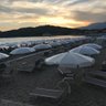 Фото профиля vincospesso