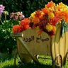 ابو ش https://www.golike.me/Sahdeh ادي برطعة profil fotoğrafı