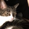 DrTaru's profile picture