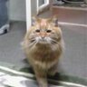 Profilbild von ちゃーくん