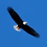 Profilbild von Eagle Won
