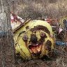 Profilbild von フバカトッー