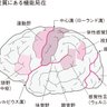 まさか's profile picture