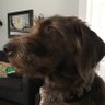 William j Mason jr's profile picture