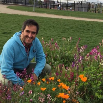 Mauricio Fabry Otte's profile picture