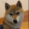 赤青白星's profile picture