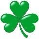 mycelts 的头像
