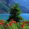 Фото профиля صيد الخاطر