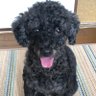ひろポジ's profile picture