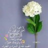 Profilbild von sameh al-hillihy