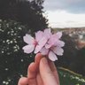 Фото профиля نجمه