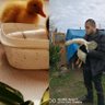 Canavar profil fotoğrafı