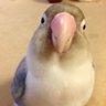 lobe 的头像