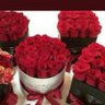 الحسام المهند profil fotoğrafı