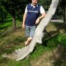 Сидорчук Михайло profil fotoğrafı