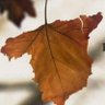 Malisimo_01's profile picture