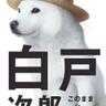遊人 的头像