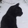 Skitty McKitty profil fotoğrafı