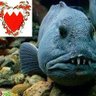Hammor/ الهامور's profile picture