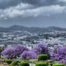 صقر الجنوب 的头像