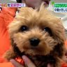 はるみつ's profile picture
