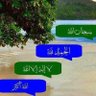 Profilbild von .سبحان الله وبحمده
