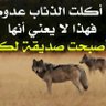 Profilbild von خالد صلاح