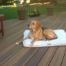 DLabatt's profile picture