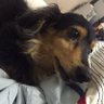 りゅーいち's profile picture