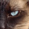 IgnasiBCN profil fotoğrafı