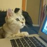 Dima Monte's profile picture