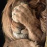 Фото профиля Leo Goodwish