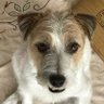 Profilbild von soraharu