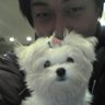 る～しぇ(超速：かがみ)'s profile picture