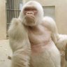 麻青人 profil fotoğrafı