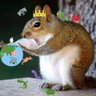 Фото профиля リス(Squirrel) 🇦🇺🇯🇵