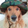 idletexan profil fotoğrafı