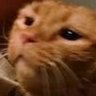 Laurel's profile picture