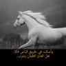 Фото профиля ابراهيم الفضلي