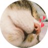 Profilbild von Maaami