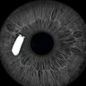 MidnightMoonish's profile picture