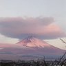 にゃびょ profil fotoğrafı