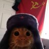 Juan Steban 的头像