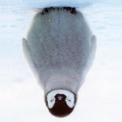 antimatter15's profile picture