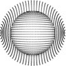 Profilbild von Argentinox